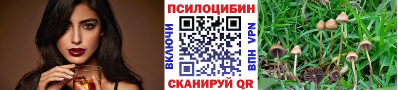 Псилоцибиновые грибы Psilocybine cubensis  Менделеевск 